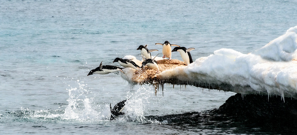 Antarctica 2013_0431