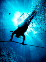 Underwater Photographs