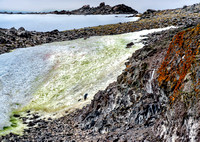 Antarctica 2013_0269