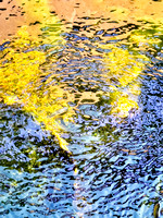 Reflections in a Stream IMG_0251