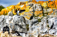 Antarctica 2013_0099