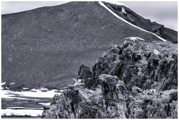 Antarctica 2013_B&W 0240