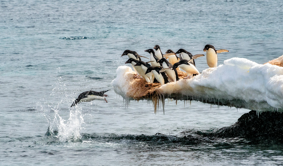 Antarctica 2013_0430