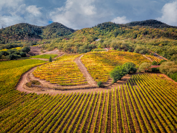 Autumn PSk DJI_0857_5706