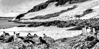 Antarctica 2013_B&W 0383