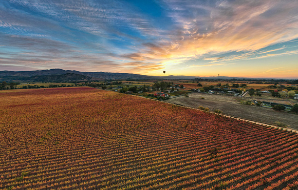 Sunrise Balloons 45