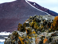 Antarctica 2013_0237