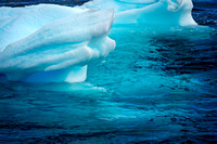 Sea Ice _DSC4068
