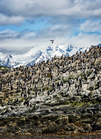 Antarctica 2013_0066