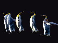 Kings IMG_3638