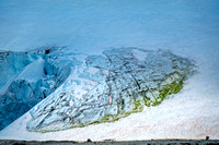 South Shetland Island_DSC2483