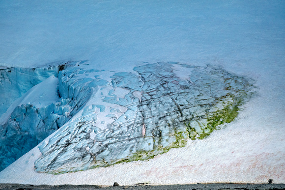 South Shetland Island_DSC2483